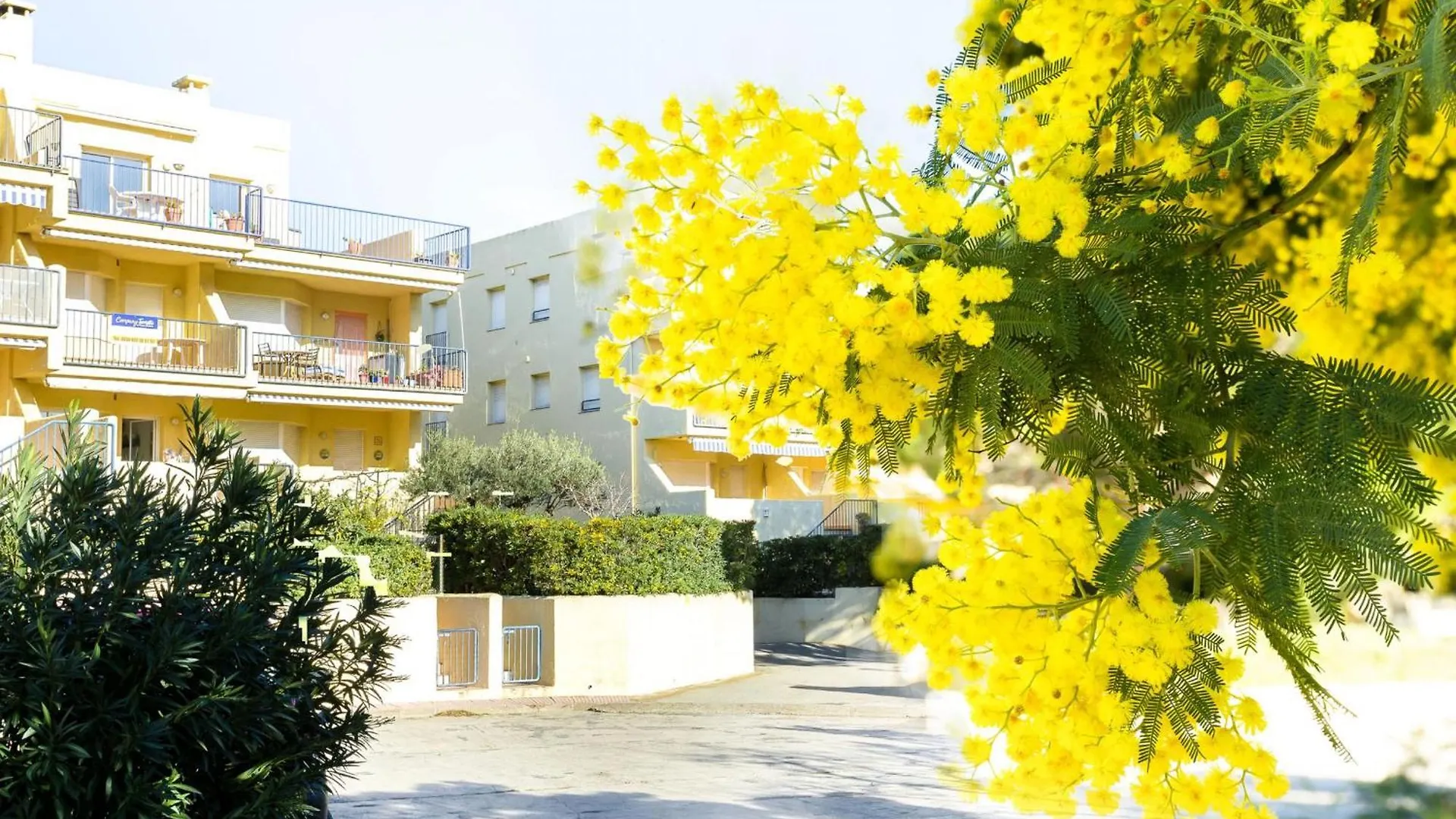 Apartamento Con Terraza A 150 M De La Playa De Grifeu, Ideal Para 4 Personas - Es-228-50 Llança Apartment